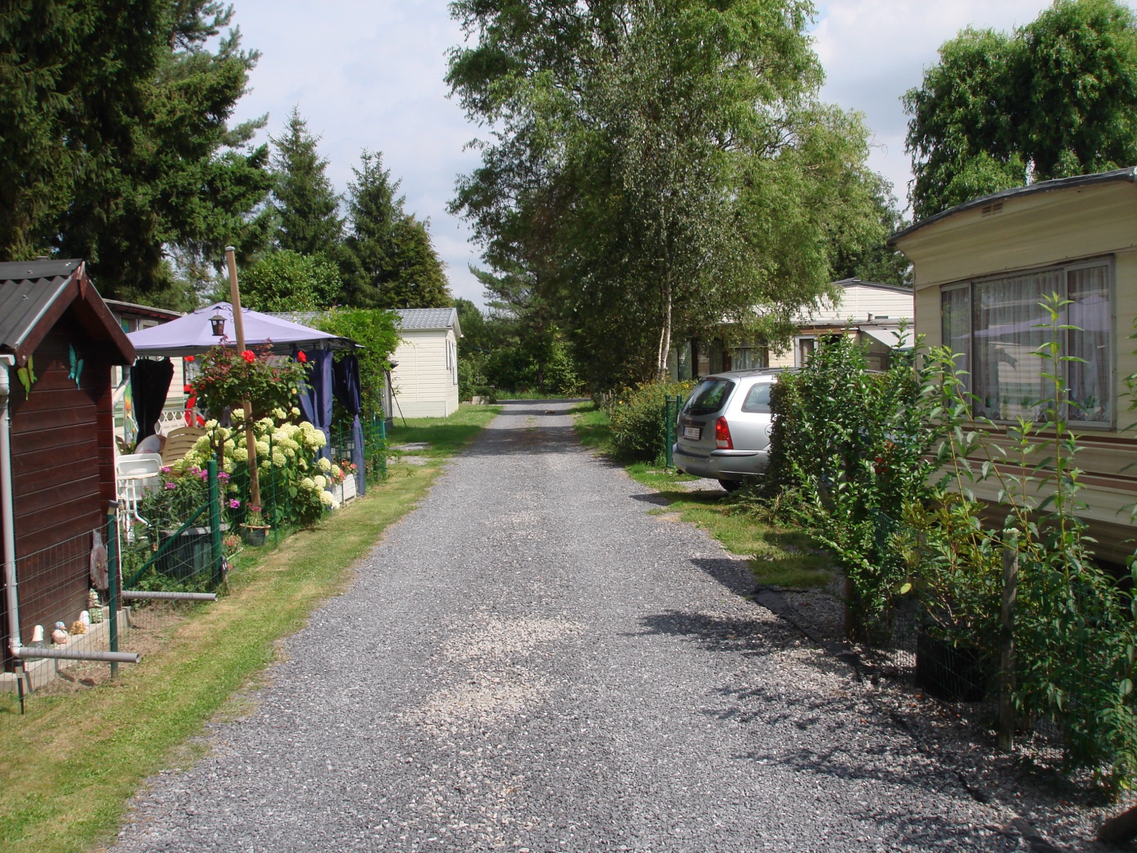 Dreef door het park