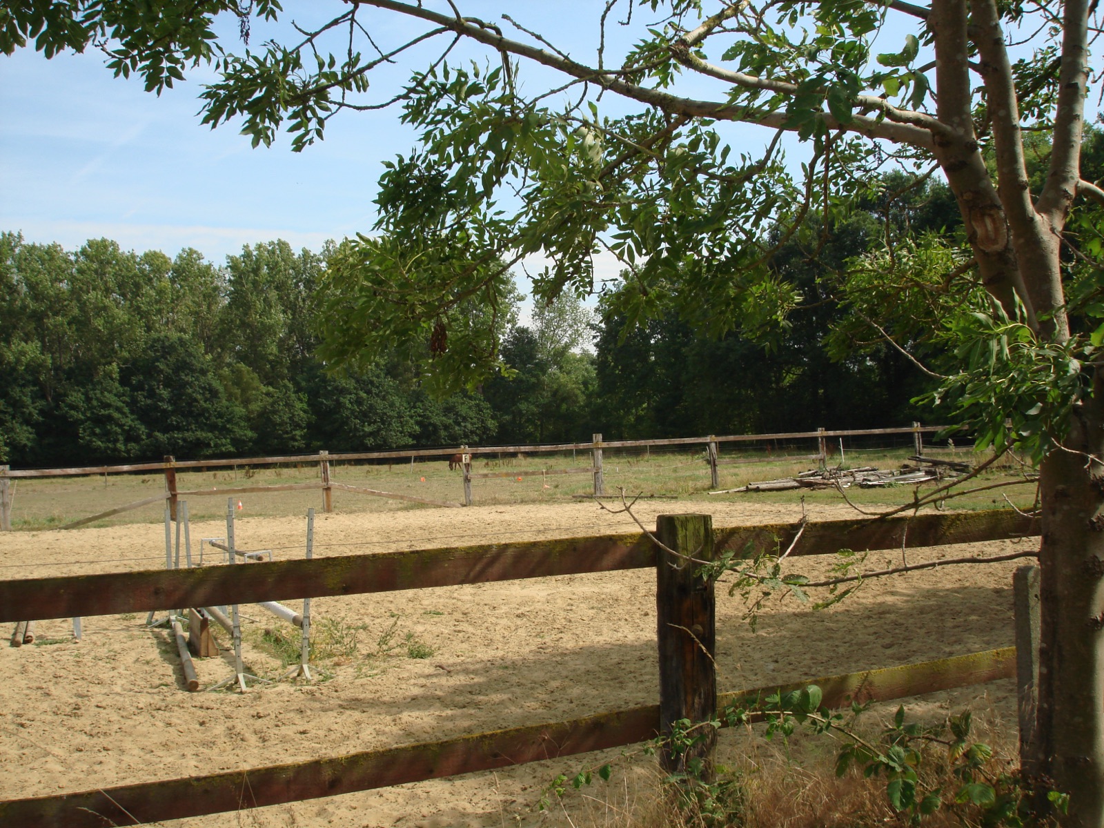 Weide met houten omheining
